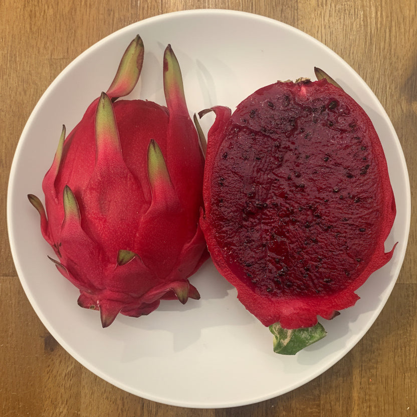 Organic - Lisa Dragon Fruit Cuttings