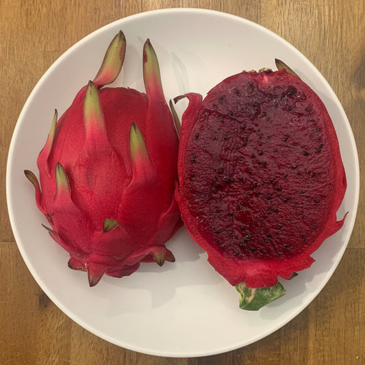 Organic - Lisa Dragon Fruit Cuttings
