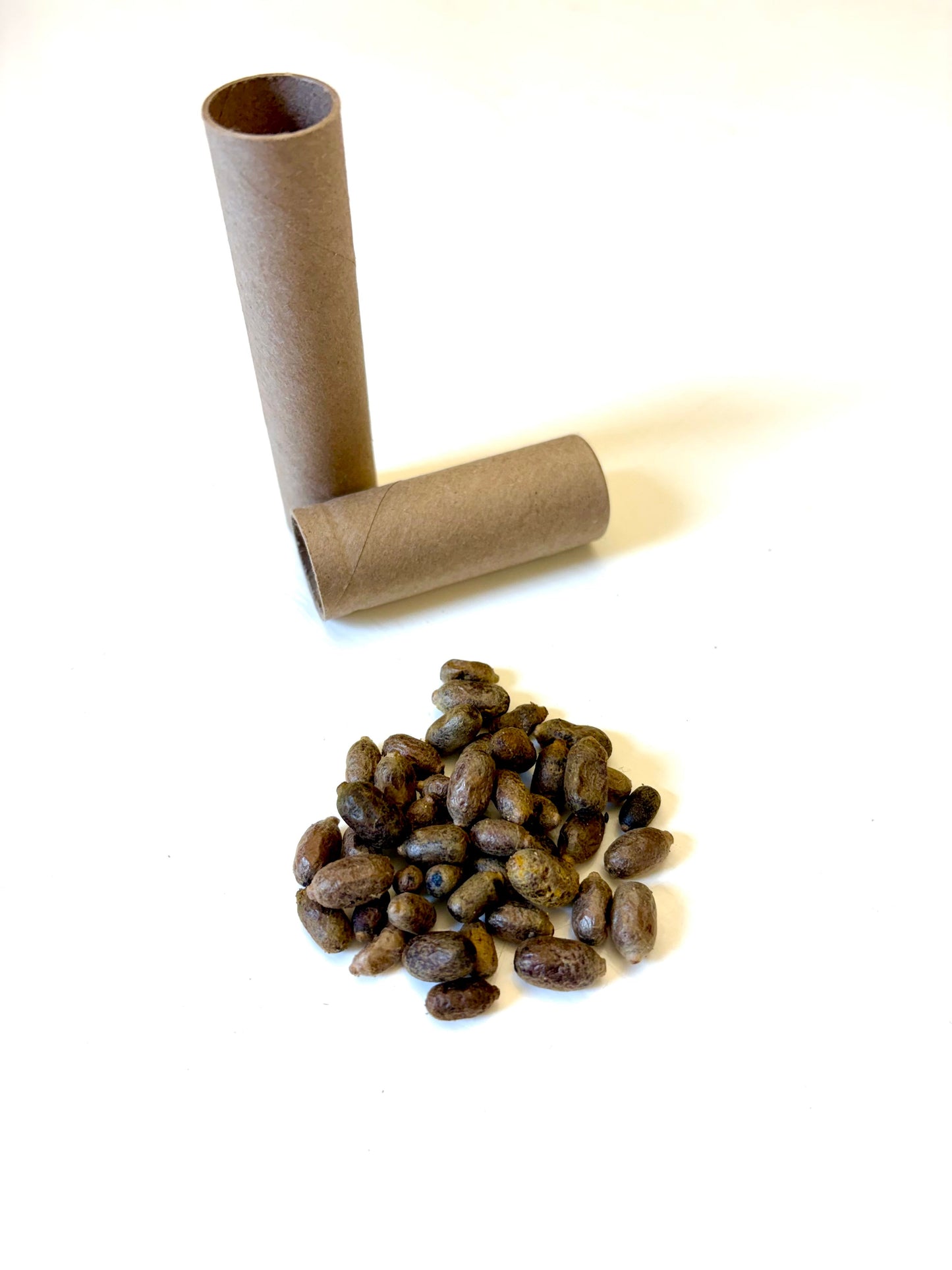 Mason Bees | 40+ OBA Certified Cocoons with Free 2 Day Shipping