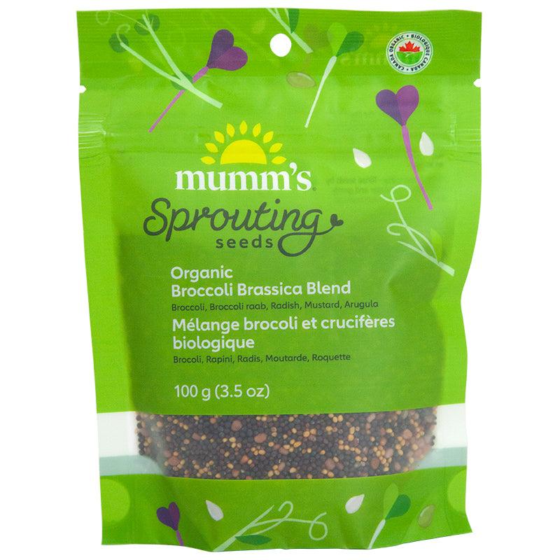 Organic Broccoli Brassica Sprouting Seed Blend
