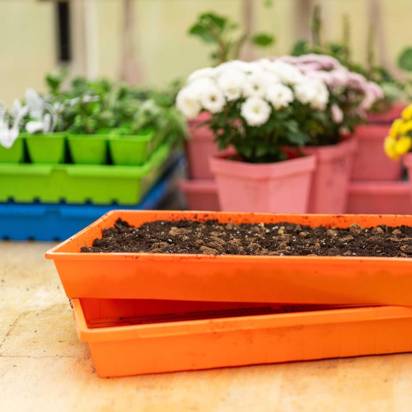 1020 Seed Starting Trays
