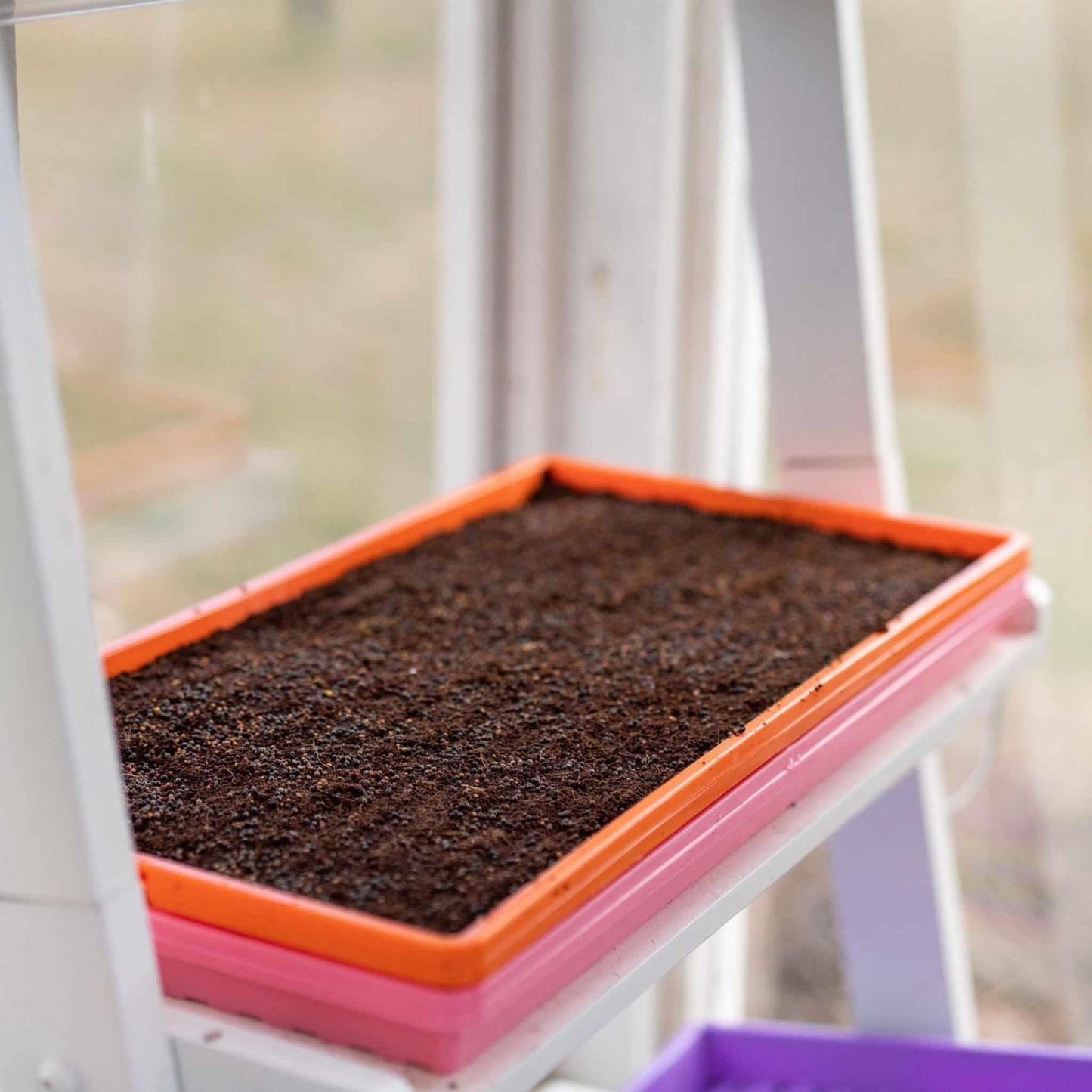 1020 Microgreen Trays Shallow Extra Strength