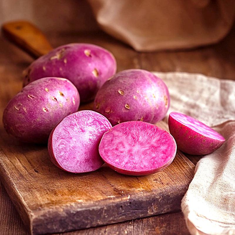 Organic Terra Rosa Seed Potato (lb)