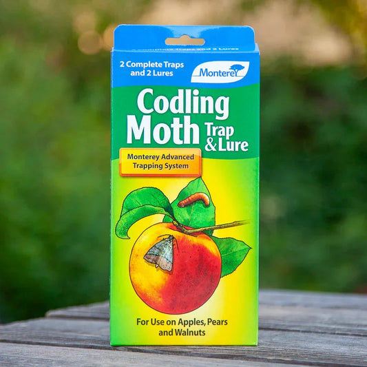Monterey Codling Moth Trap & Lure - 2pk