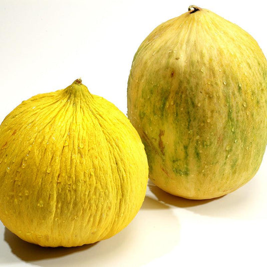 Organic Crenshaw Melon