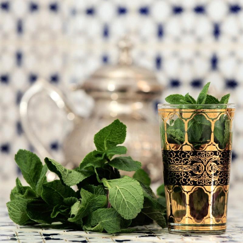 Organic Moroccan Mint (1 Gallon)