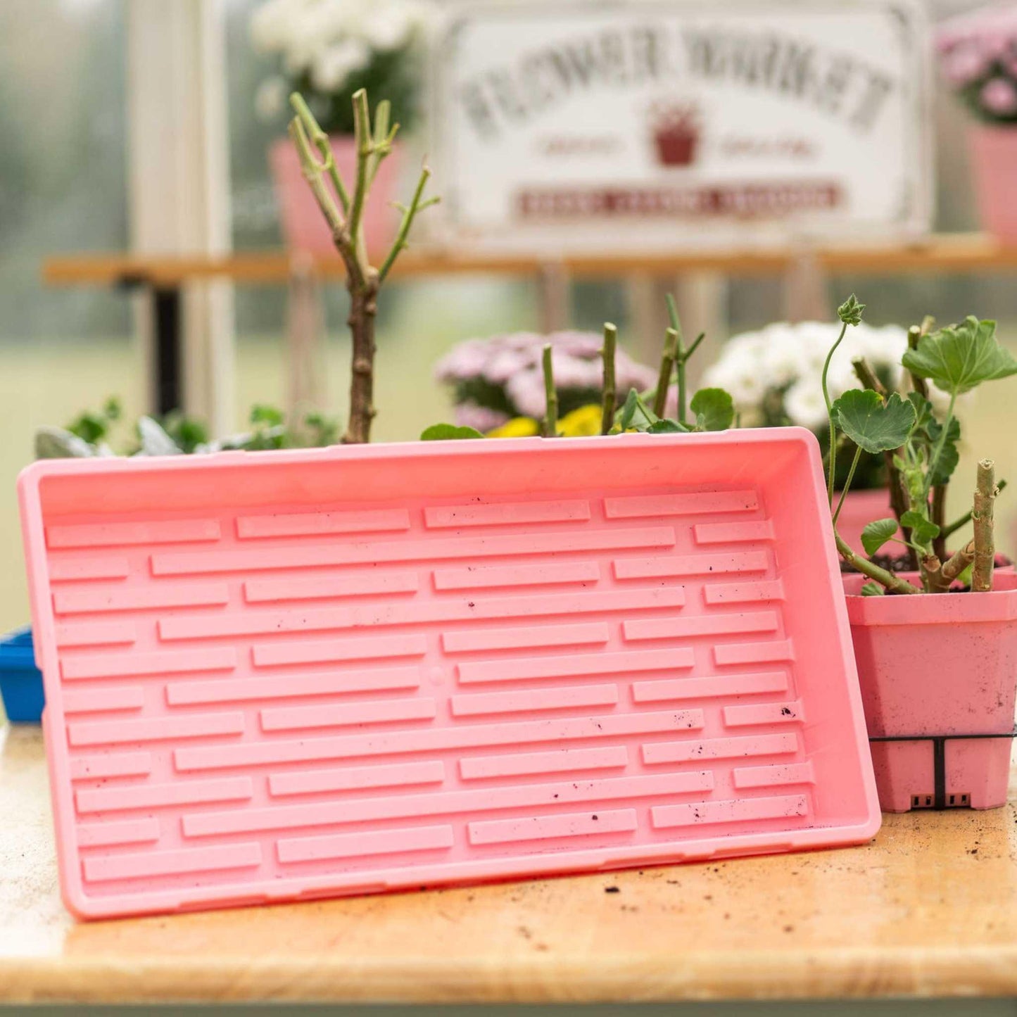 1020 Seed Starting Trays
