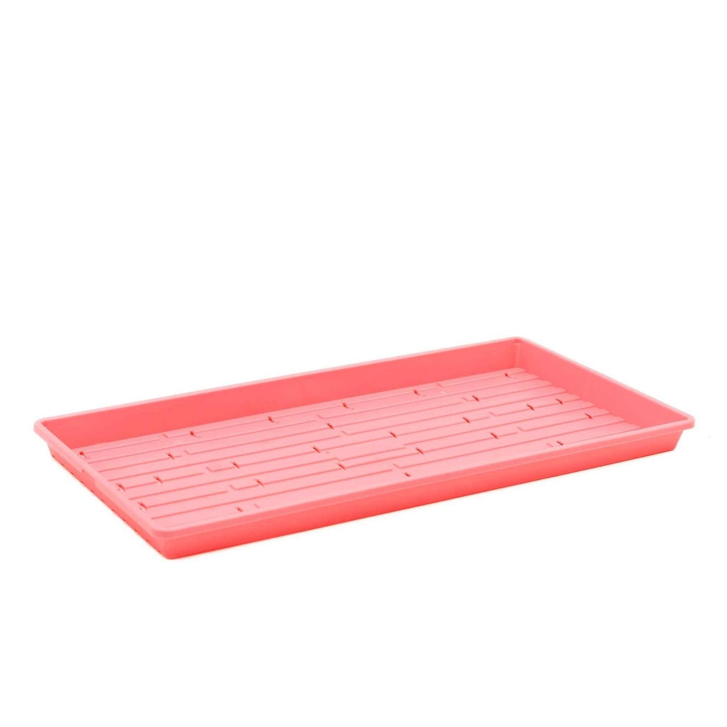 1020 Microgreen Trays Shallow Extra Strength