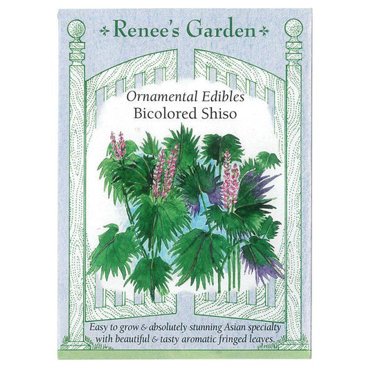 Bicolor Shiso Seeds