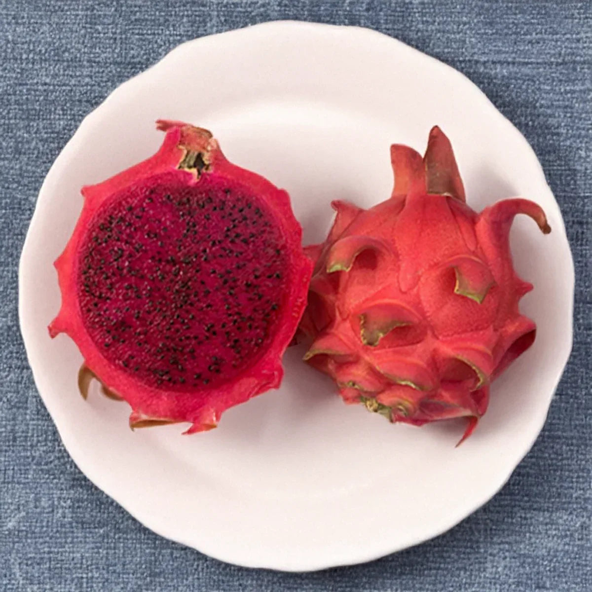 Organic Robles Red Dragon Fruit Cuttings