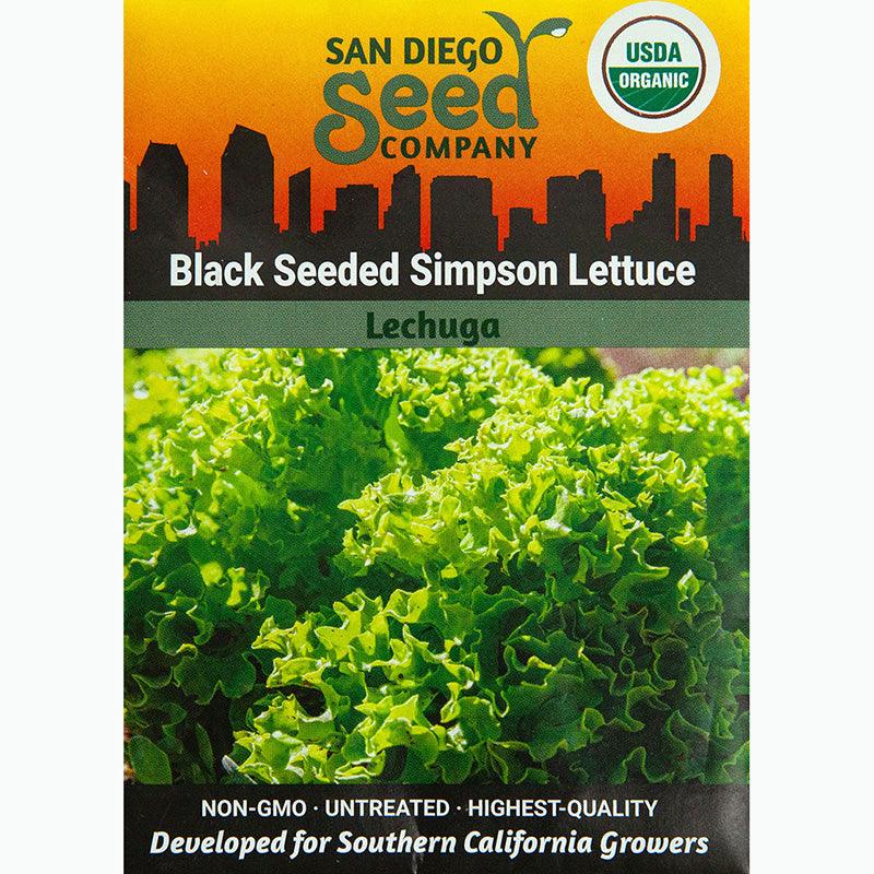Organic Black Seeded Simpson Lettuce Seeds