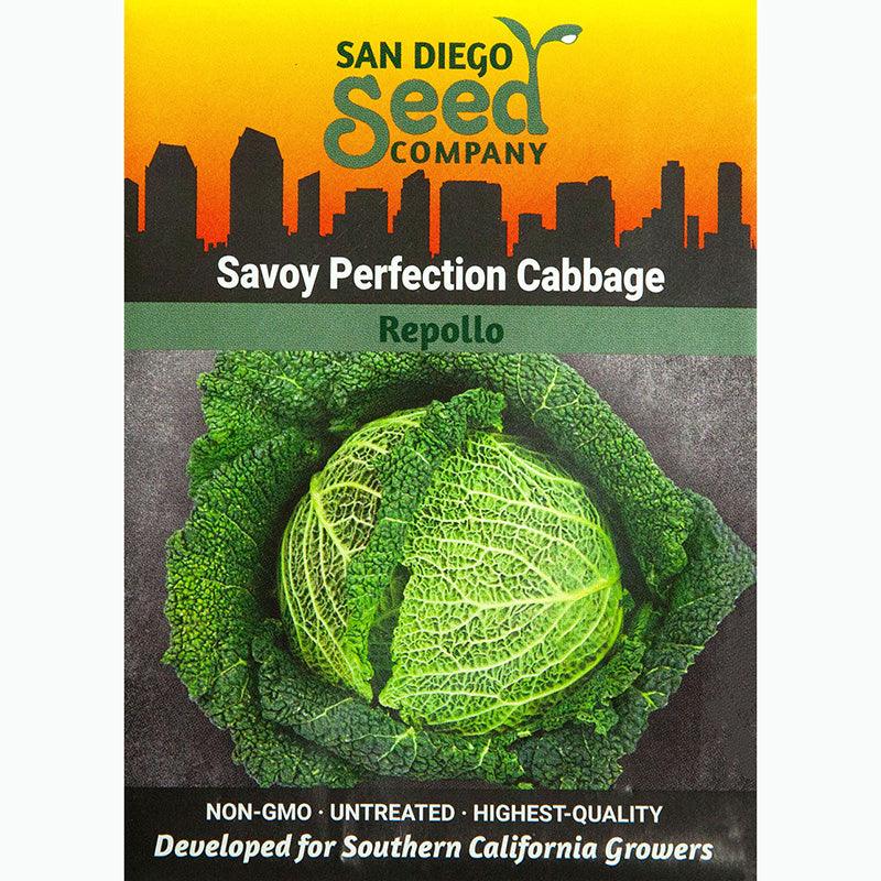 Savoy Perfection Cabbage