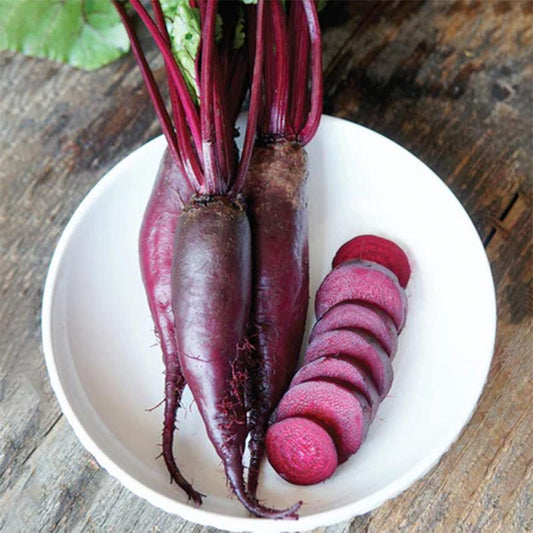 Cylindra Beet Seeds (Organic)