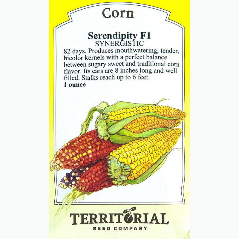 Serendipity Corn Seeds