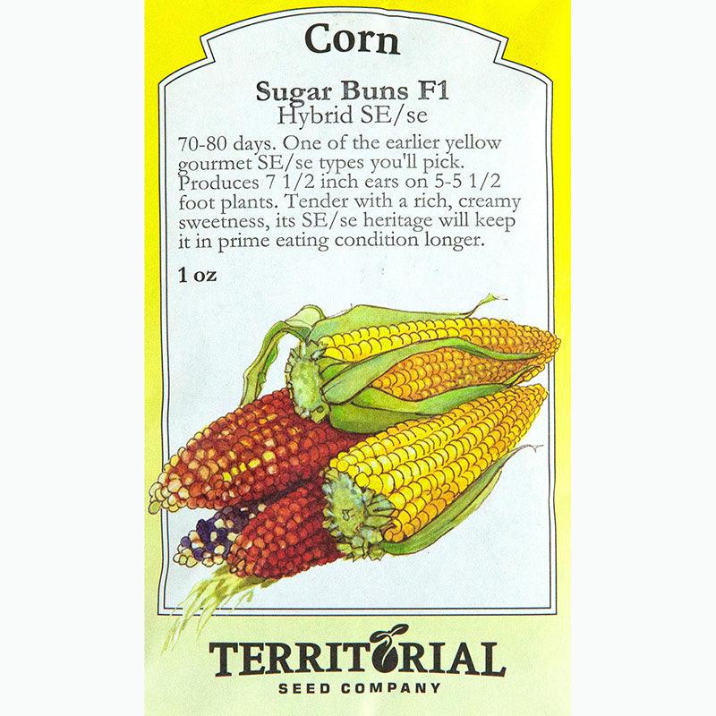 Sugar Buns Corn Seeds
