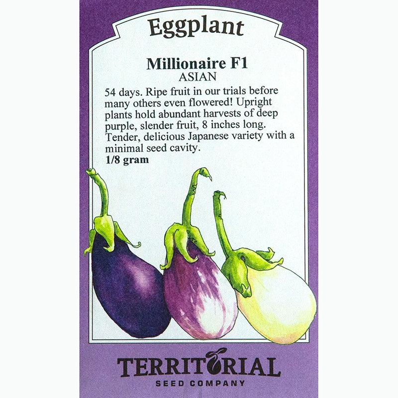 Millionaire Eggplant Seeds