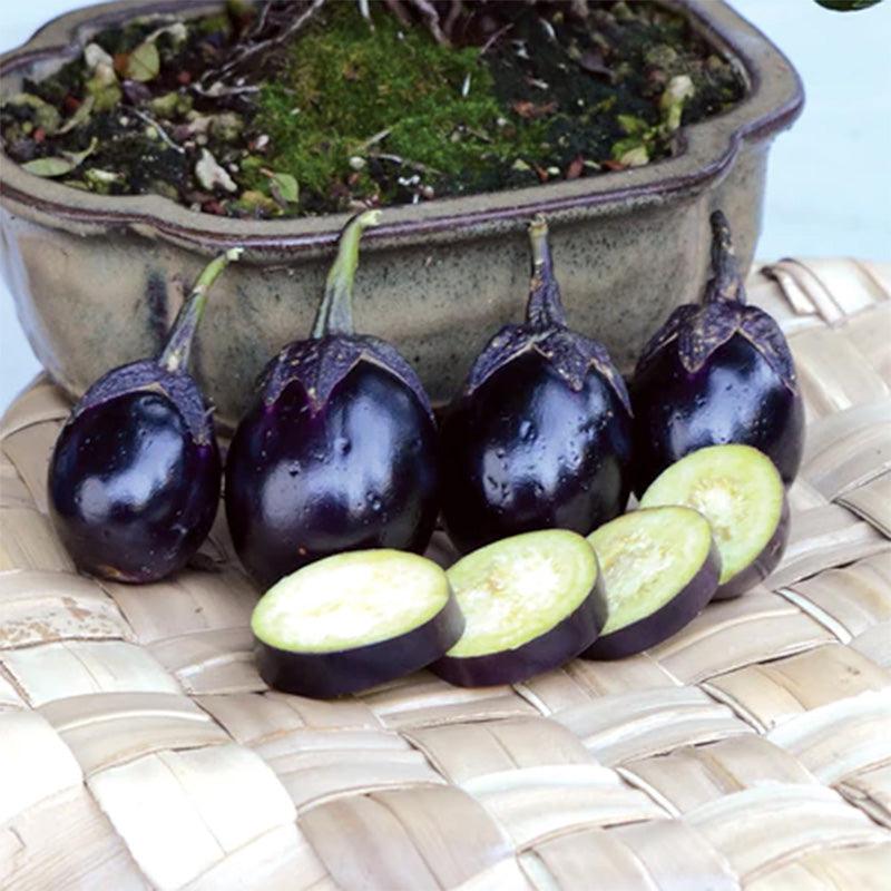 Patio Baby Eggplant Seeds