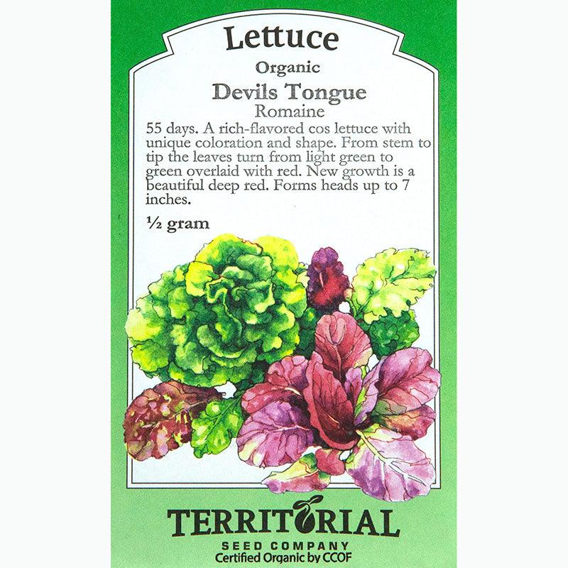 Devil's Tongue Lettuce Seeds (Organic)