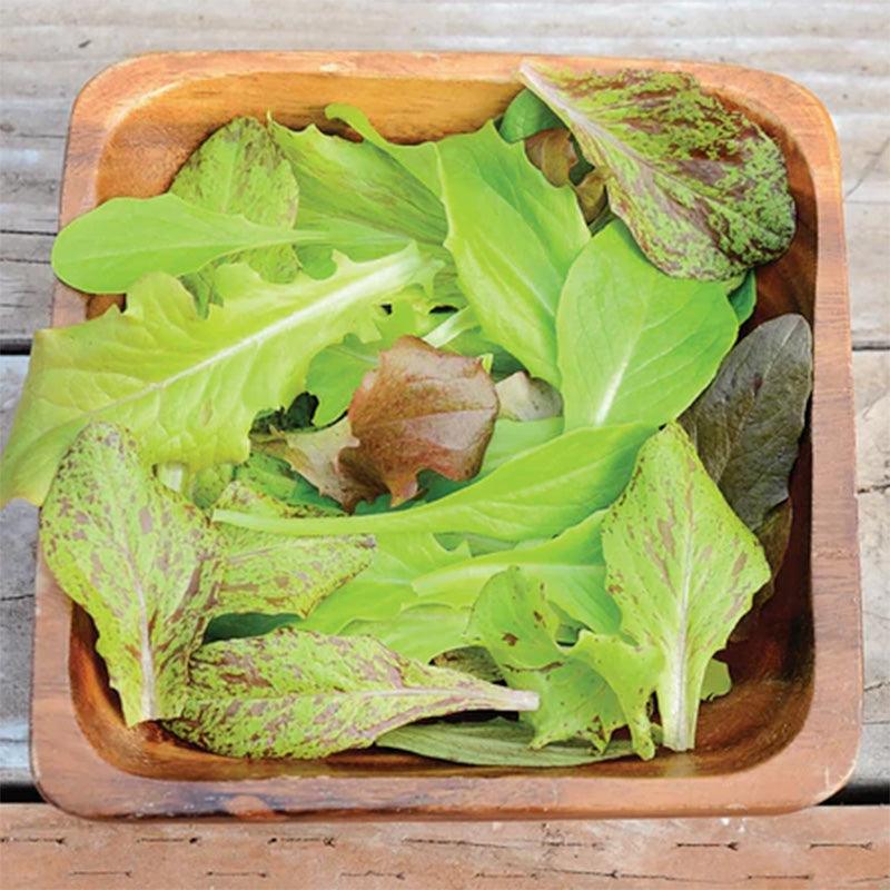 Wildest Garden Lettuce Mix Seeds