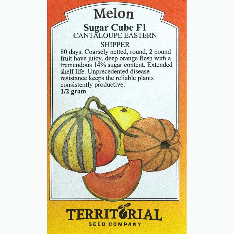Sugar Cube Melon Seeds
