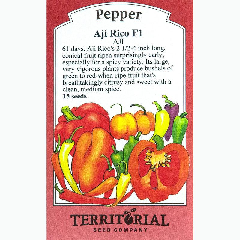 Aji Rico Hot Pepper Seeds
