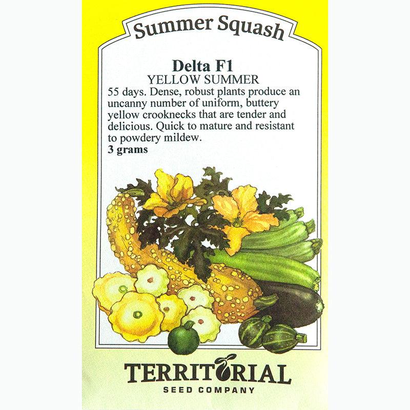 Delta Summer Squash Seeds