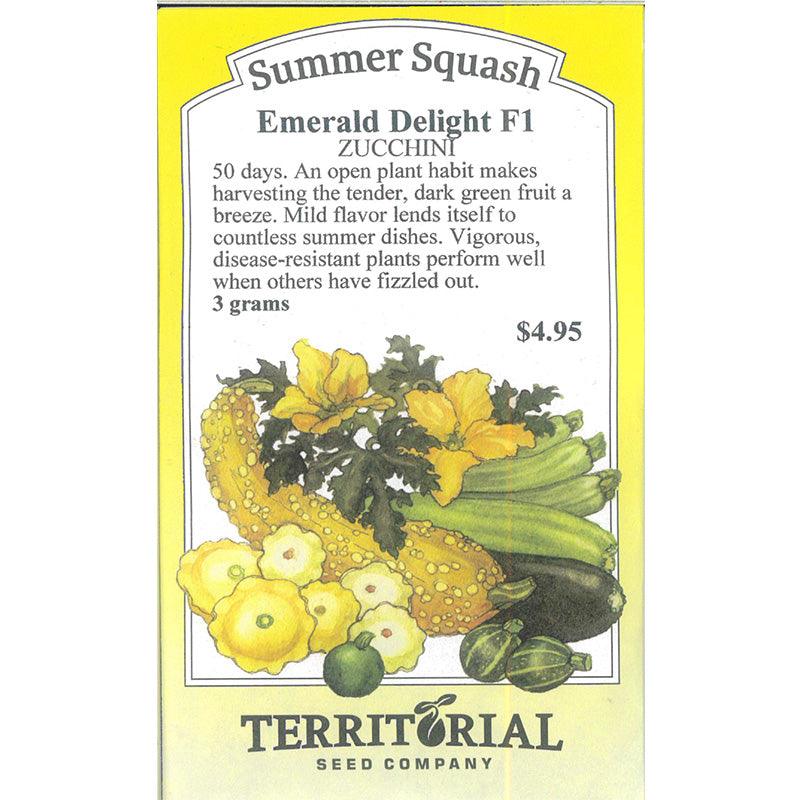 Emerald Delight Summer Squash Seeds