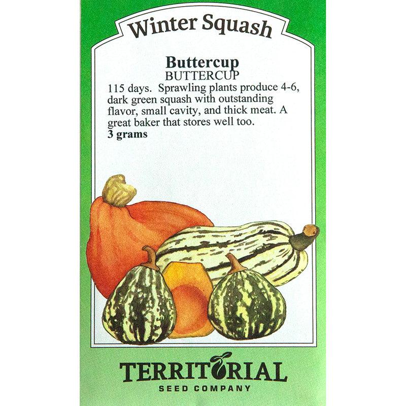 Buttercup Winter Squash Seeds