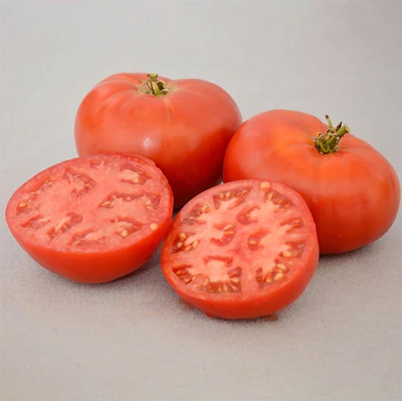 Carmello Tomato Seeds
