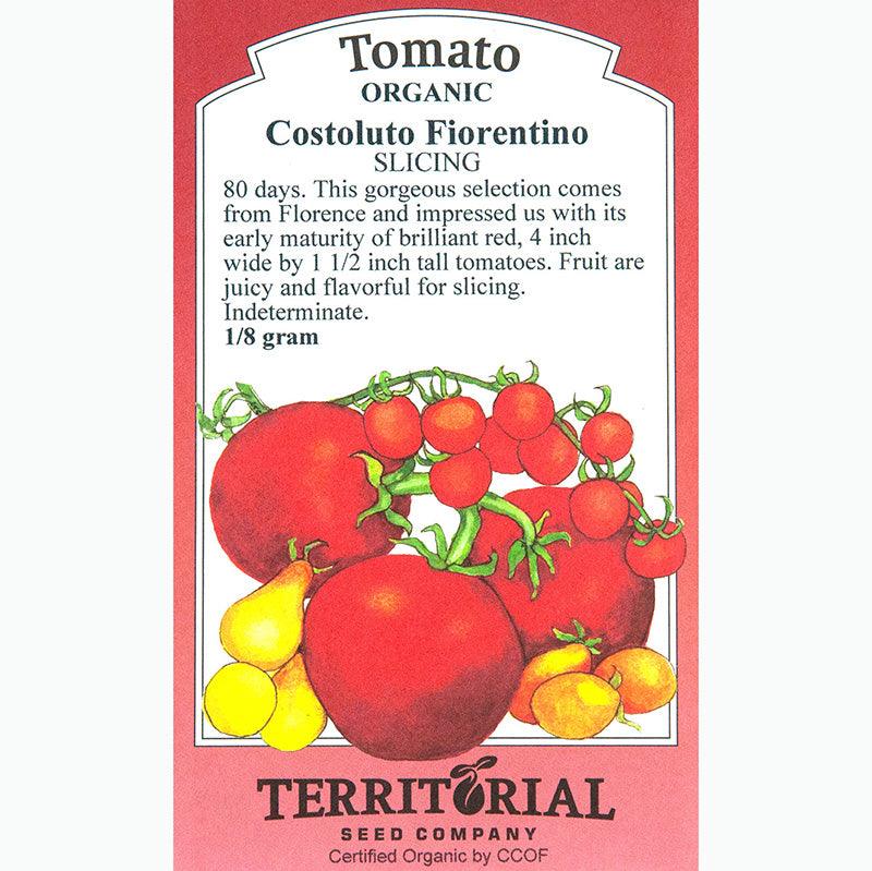 Costoluto Fiorentino Tomato Seeds