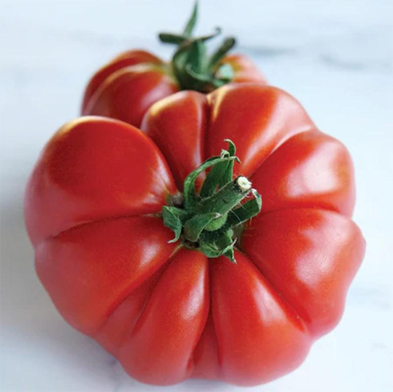 Grandma's Pick Tomato Seeds