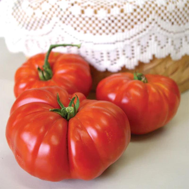 Grandma's Pick Tomato Seeds