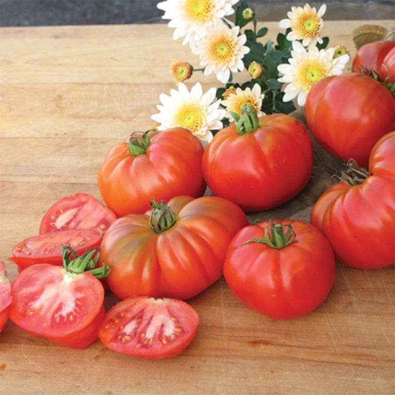 Grandma's Pick Tomato Seeds