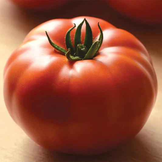 HM Genuwine Tomato Seeds
