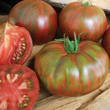 Pink Berkeley Tie-Dye Tomato