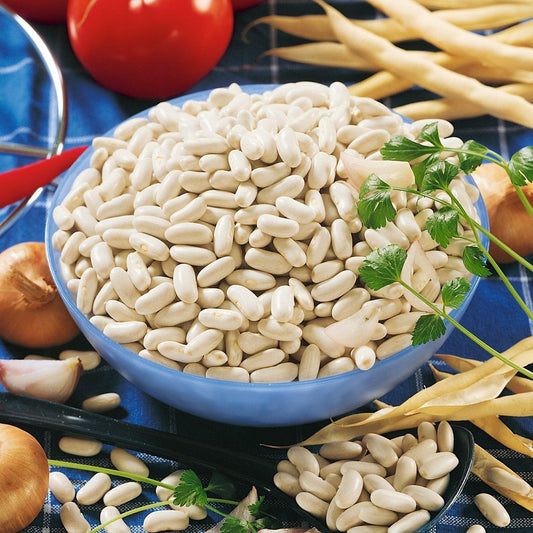 Cannellini Bush Bean