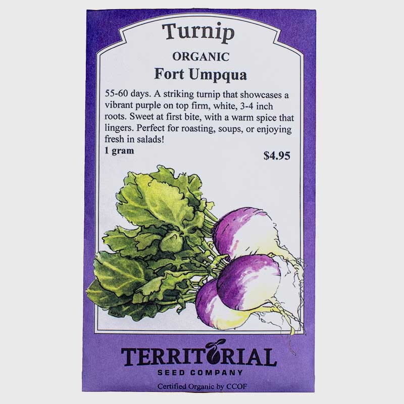 Turnip Fort Umpqua Seeds (Organic)