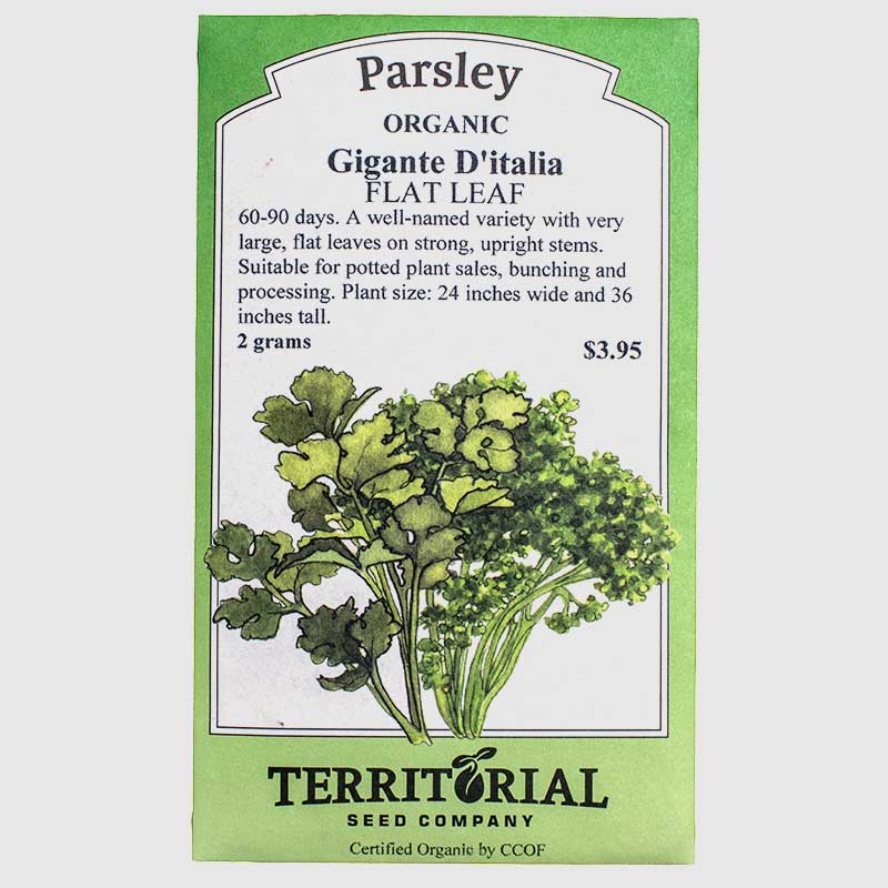 Parsley Gigante D'italia Seeds (Organic)