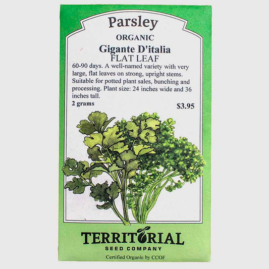 Parsley Gigante D'italia Seeds (Organic)