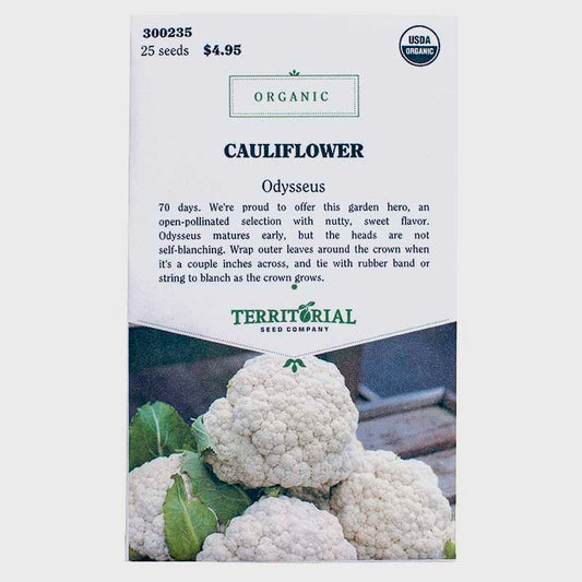 Cauliflower Odysseus Seeds (Organic)