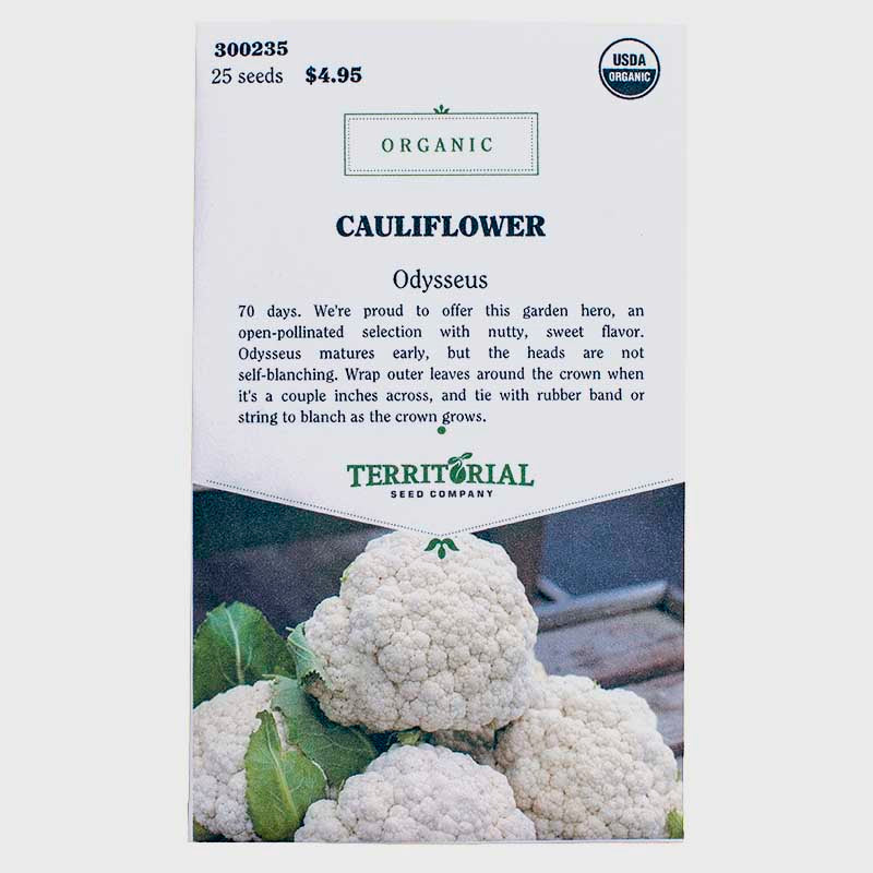 Cauliflower Odysseus Seeds (Organic)