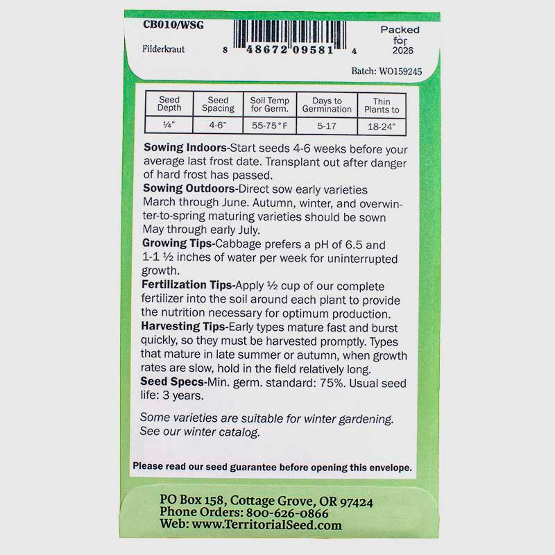 Filderkraut Cabbage Seeds (Organic)