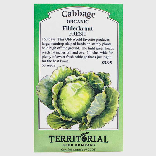 Filderkraut Cabbage Seeds (Organic)