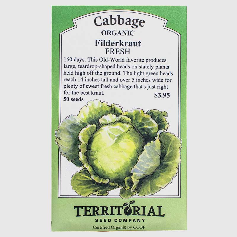 Filderkraut Cabbage Seeds (Organic)