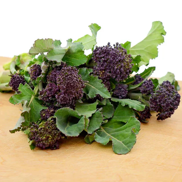Rudolph Broccoli Seeds