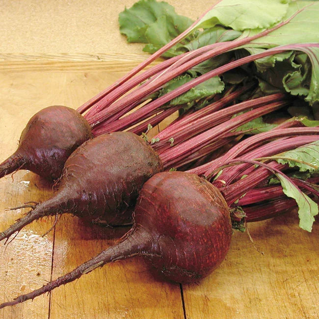 Beet Lutz Green Leaf Seeds
