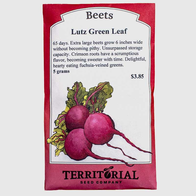 Beet Lutz Green Leaf Seeds