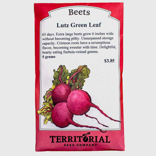 Beet Lutz Green Leaf Seeds