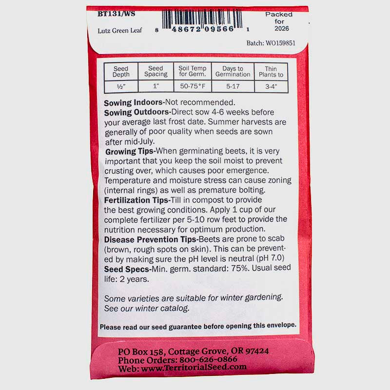 Beet Lutz Green Leaf Seeds