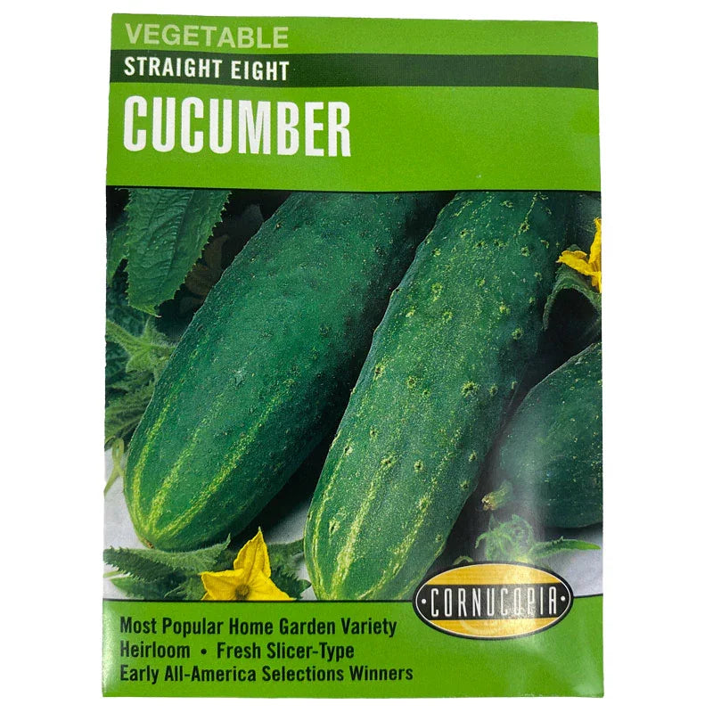 Organic Straight Eight Cucumber